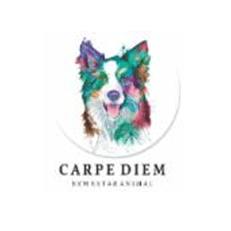 logo da empresa Carpe Diem